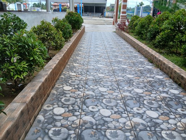 20250513_140121.jpg