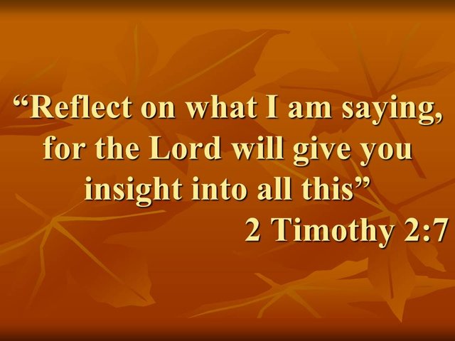 Reflect on what I am saying, for the Lord will give you insight into all this. 2 Timothy 2,7. Examples.jpg