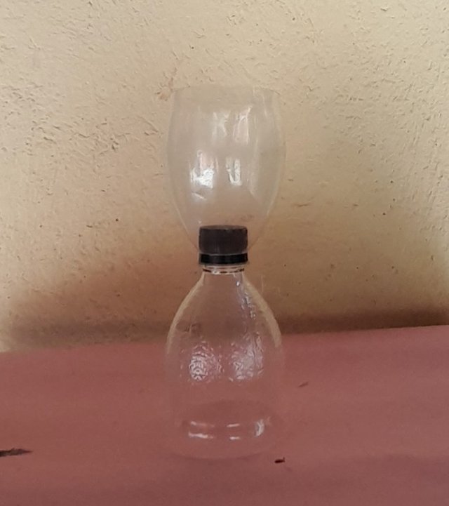 20250414_144550.jpg