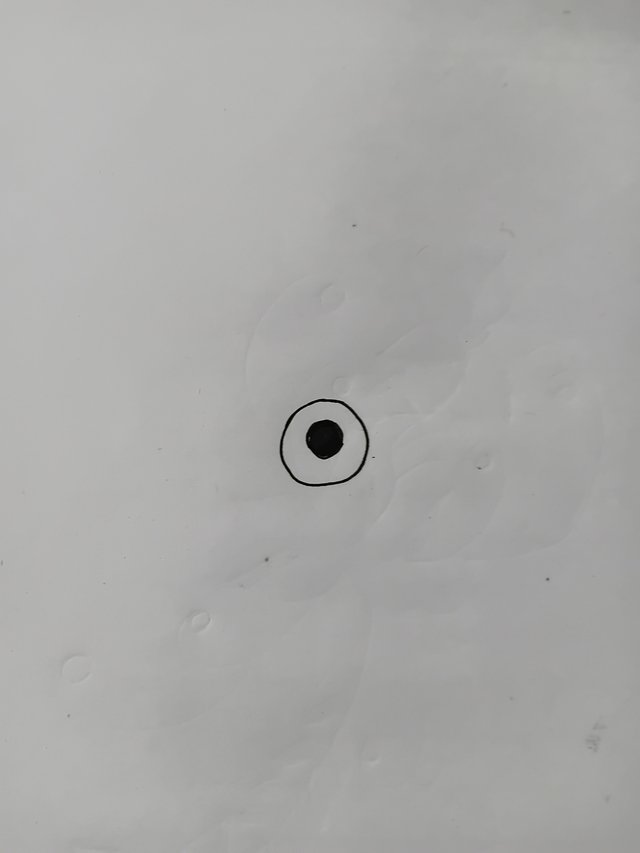 6185.jpg