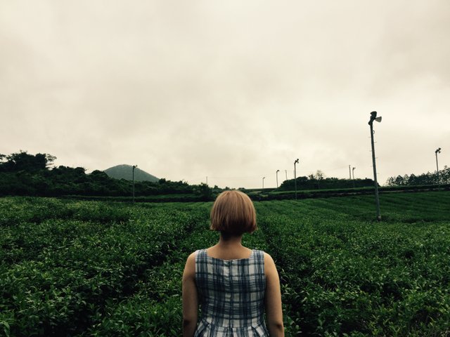KakaoTalk_20180727_222121199.jpg