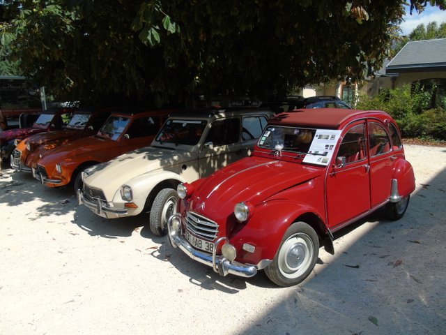 DSC08217.JPG