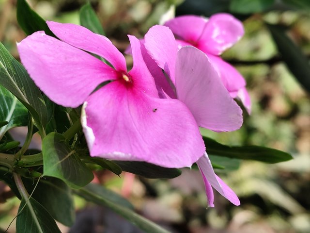 IMG_20250401_102717.jpg