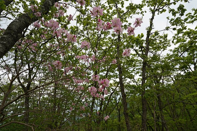 b-DSC01354.JPG