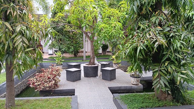 20250607_114650.jpg
