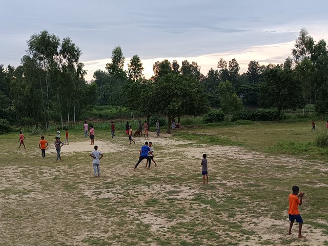 1000010395.jpg