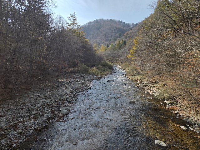 카카오스토리_2025_11_01 23_50_37.jpg