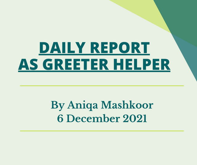 Daily report as greeter helper.png