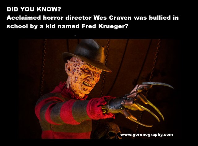 freddy.jpg