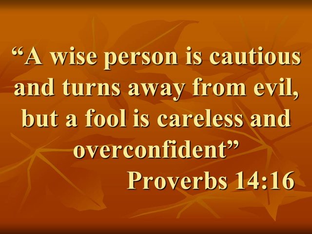 Practical wisdom of the Bible. A wise person is cautious and turns away from evil, but a fool is careless and overconfident. Proverbs 14,16.jpg