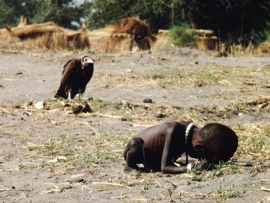 kevincarter-557x418.jpg