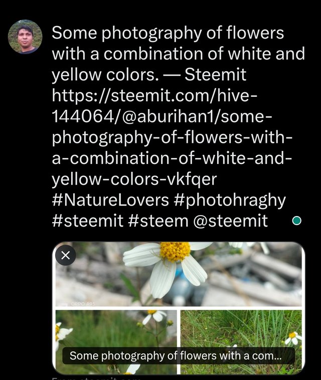 1000447810.jpg