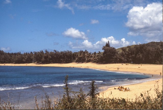 kauai beaches-2.jpg