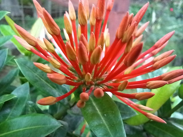 20250619_120747.jpg