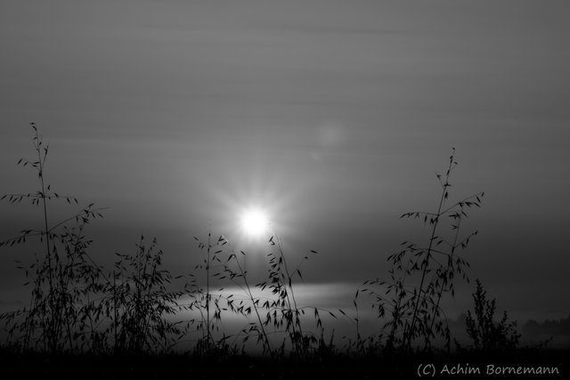 BWSUNRISE-3.jpg