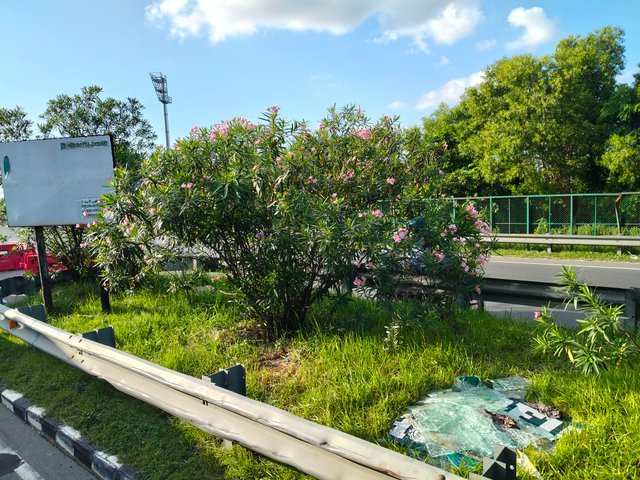 IMG20250905164442.jpg