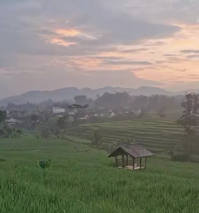 1754577201958.jpg