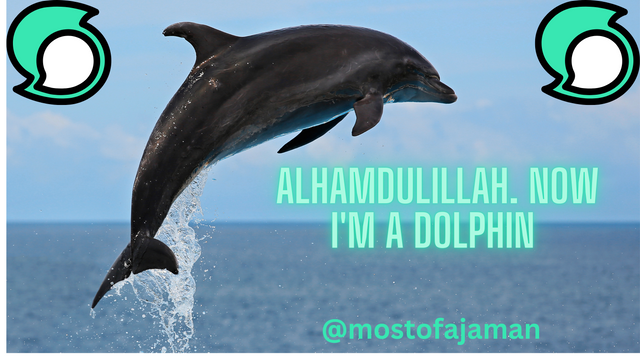 Alhamdulillah. Now I'm a dolphin 🐬.png