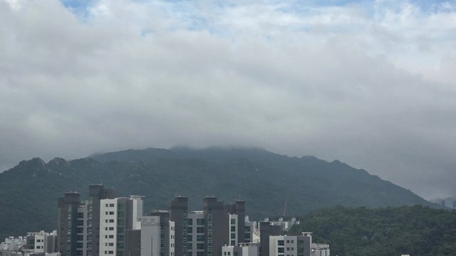 1000130788.jpg