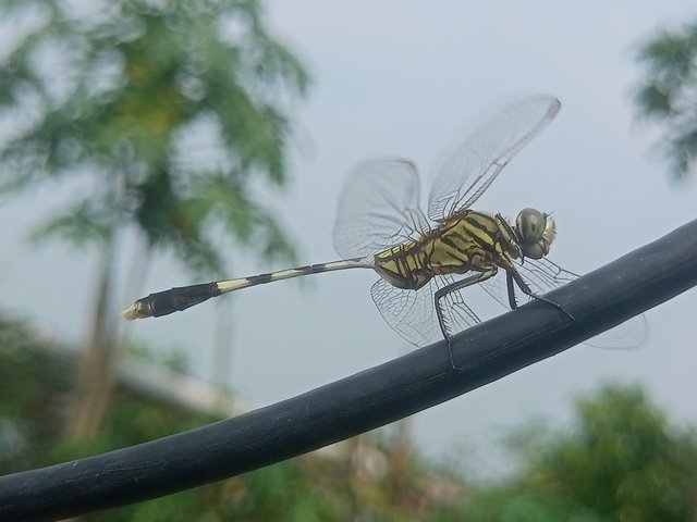 IMG20250719150630.jpg