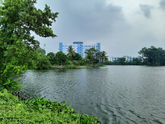 20250531_122723.jpg