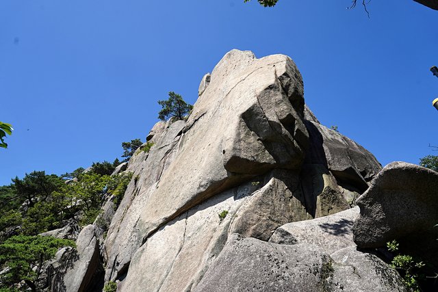 b-DSC08897.JPG