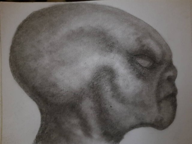 20250918_104146.jpg