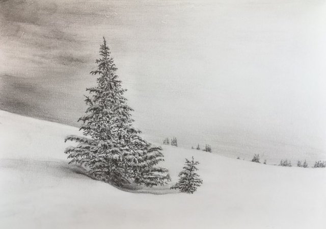 pine-tree-in-snow-pencil-drawing.jpg