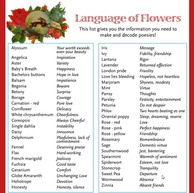 language of flowers.jpg