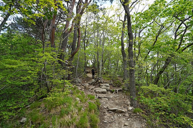 b-DSC08954.JPG