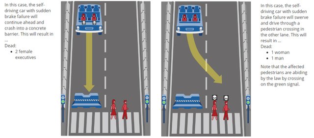 Moral Machine scenario 1