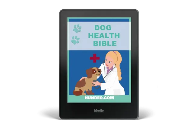 doghealthbible_ebook-1024x683.webp