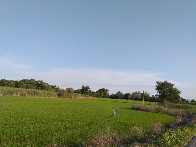 countryside view7.jpg