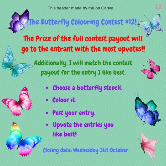 Butterfly Colouring Contest 12.jpg