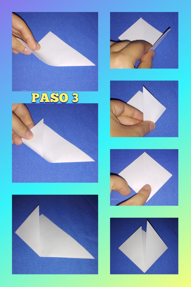 paso 3.jpg