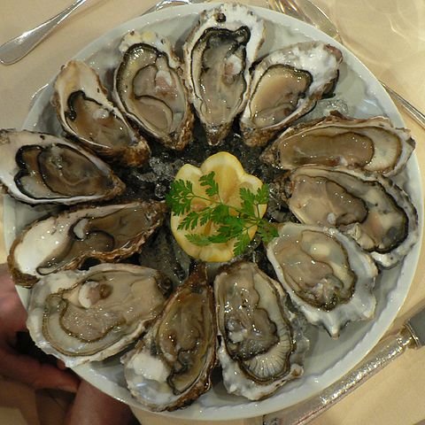 480px-Oysters_in_circle_on_plate.jpg