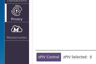 zPIV Control.png