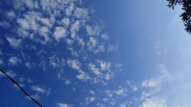 IMG_20250315_163042.jpg