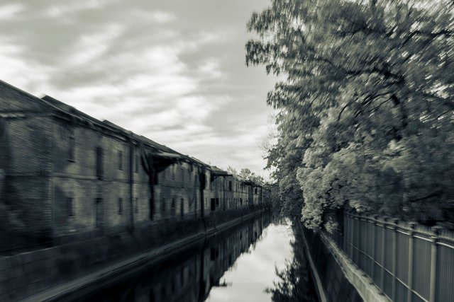 DSC08477.jpg
