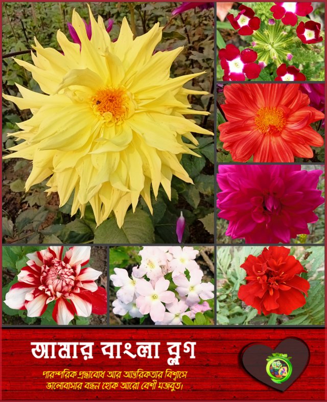 Picsart_23-02-21_17-48-06-971.jpg