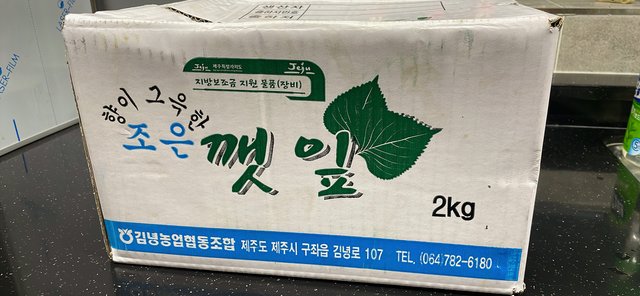 KakaoTalk_20250717_225345505.jpg