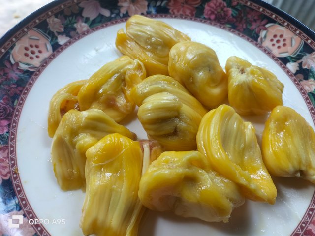 IMG2025062695705.jpg