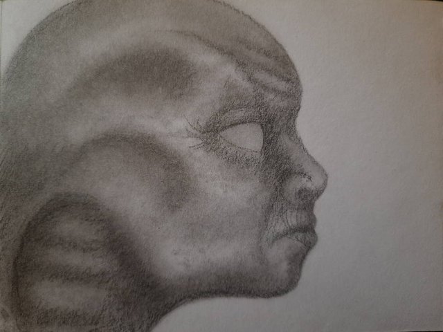 20250422_110234.jpg