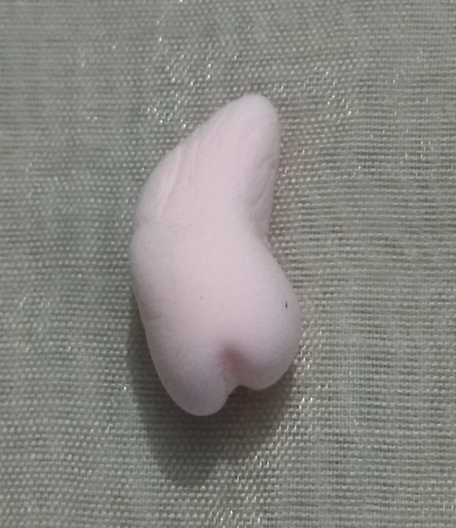 d7.jpg
