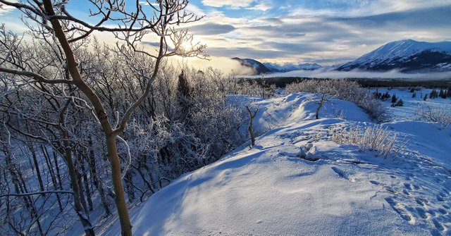 carcross_desert_3.jpeg