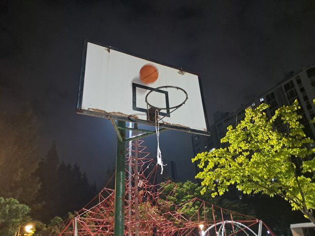 1000011738.jpg