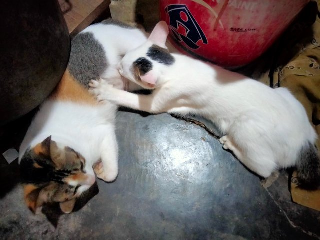 IMG20250619073428.jpg