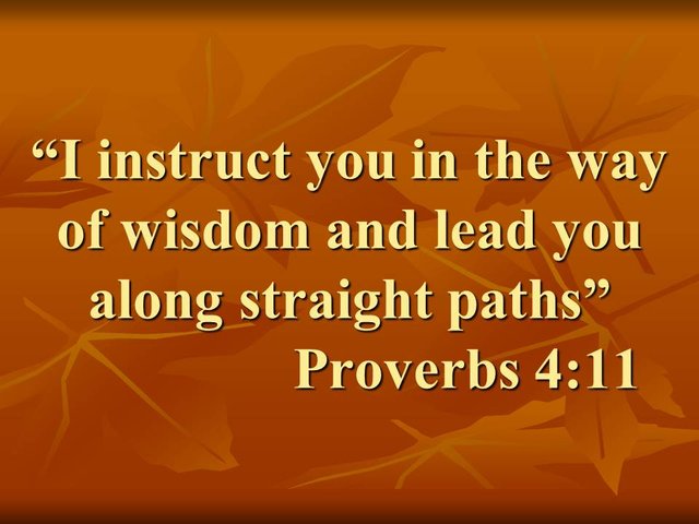 The sensible life. I instruct you in the way of wisdom and lead you along straight paths. Proverbs 4,11.jpg