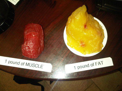 How Many Calories Are in a Pound of Fat?