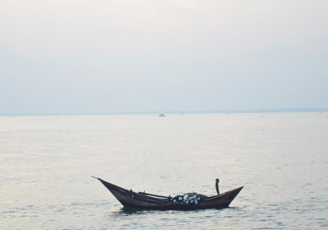 _AHW4809.jpg